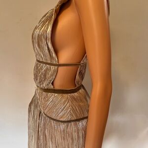 The Golden Dress by Bec and Bridge